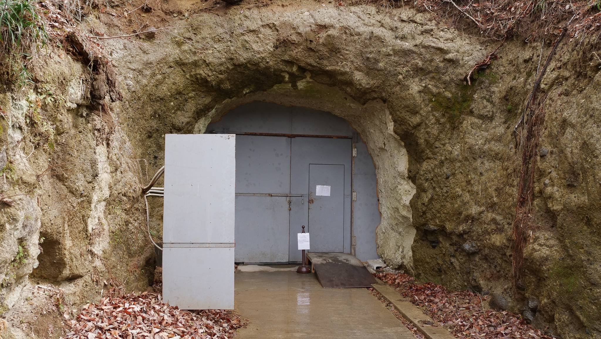 🍶 시마자키 사케 양조장(주식회사 시마자키 슈조) 이미지 6